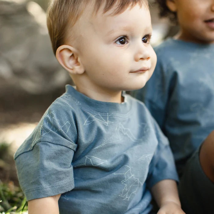 Burts Bees Origami Dinos Boy Tee & Shorts Set
