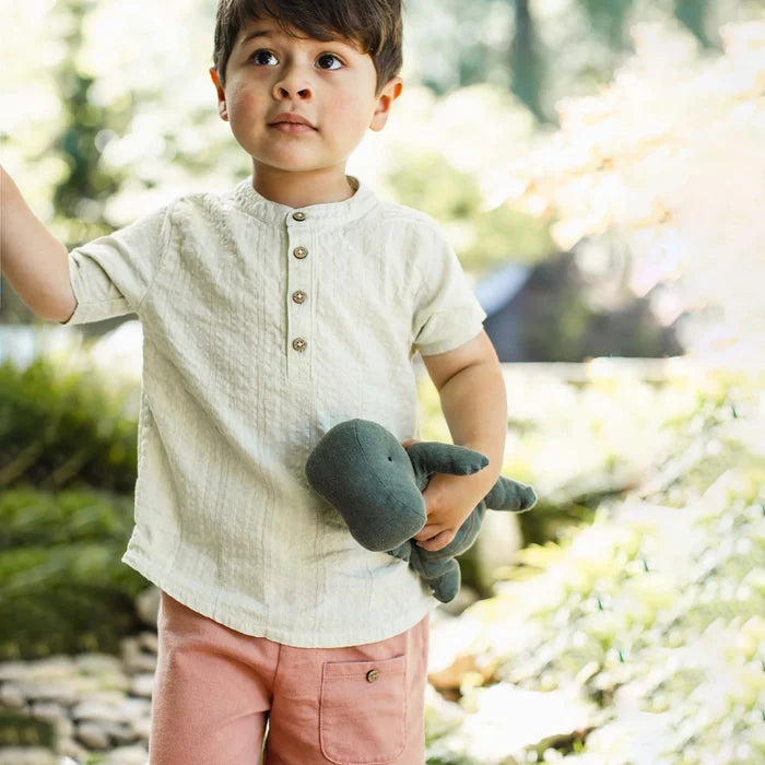 Burts Bees Seersucker Boy Shirt & Shorts Set