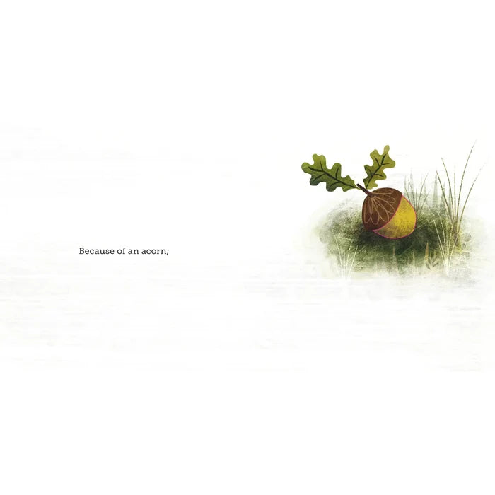 Chronicle Books Because of an Acorn Book