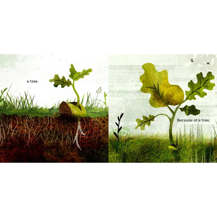 Chronicle Books Because of an Acorn Book