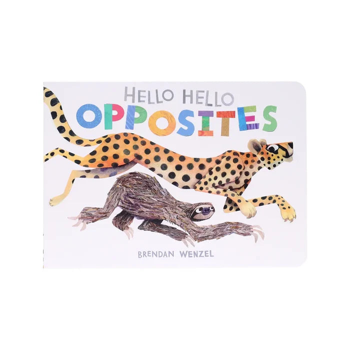 Chronicle Books Hello Hello Opposites Book