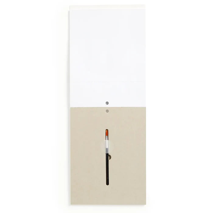 Chronicle Books Painting Kit