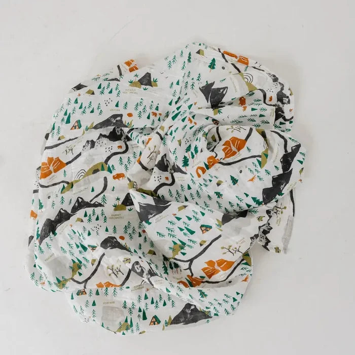 National Parks Mini Pattern
