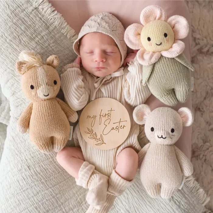 Cuddle and Kind Baby Pony