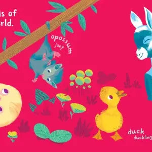 Hachette Book Group Indestructibles: Baby Animals