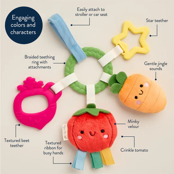 Itzy Ritzy Bitzy Busy Ring Teething Activity Toy