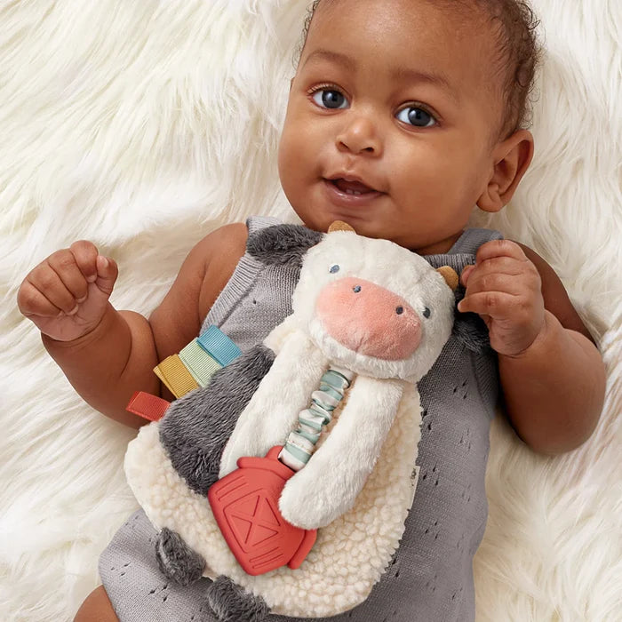 Baby plays with Itzy Ritzy Itzy Lovey Plush And Teether Toy - Carmen the Cow