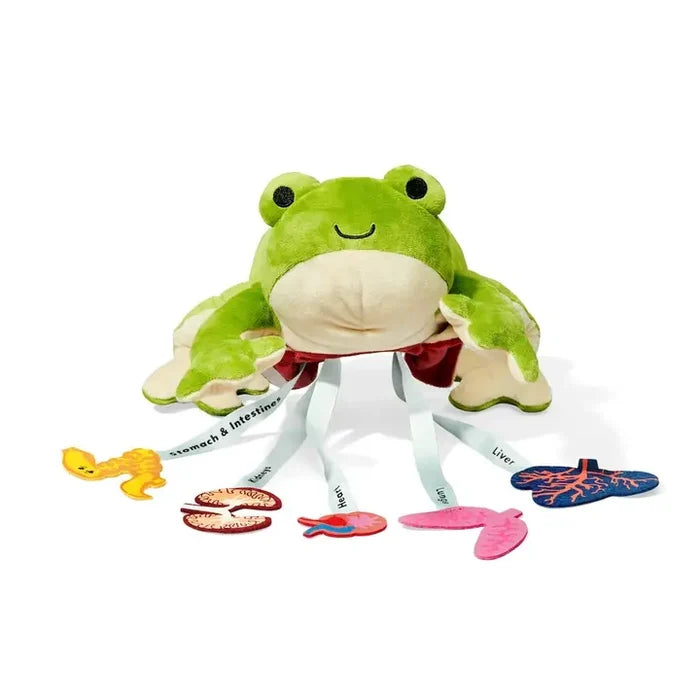 KiwiCo Inc Froggie Dissection Lab, Anatomy Learning Toy for Kids
