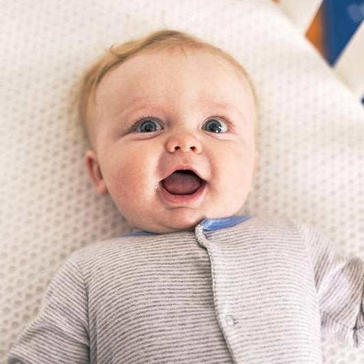 Lullaby Earth Breathe-Safe Breathable Cover
