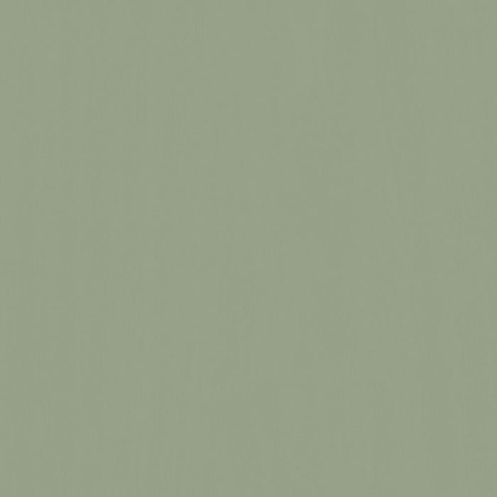Muted Dried Spruce