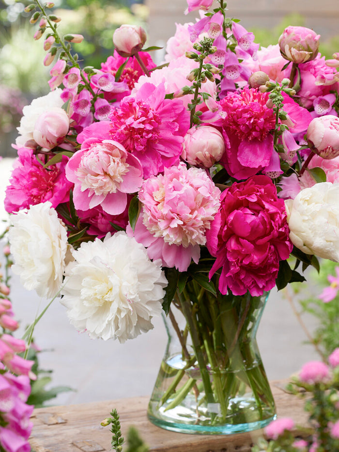 Peony Rosette Collection