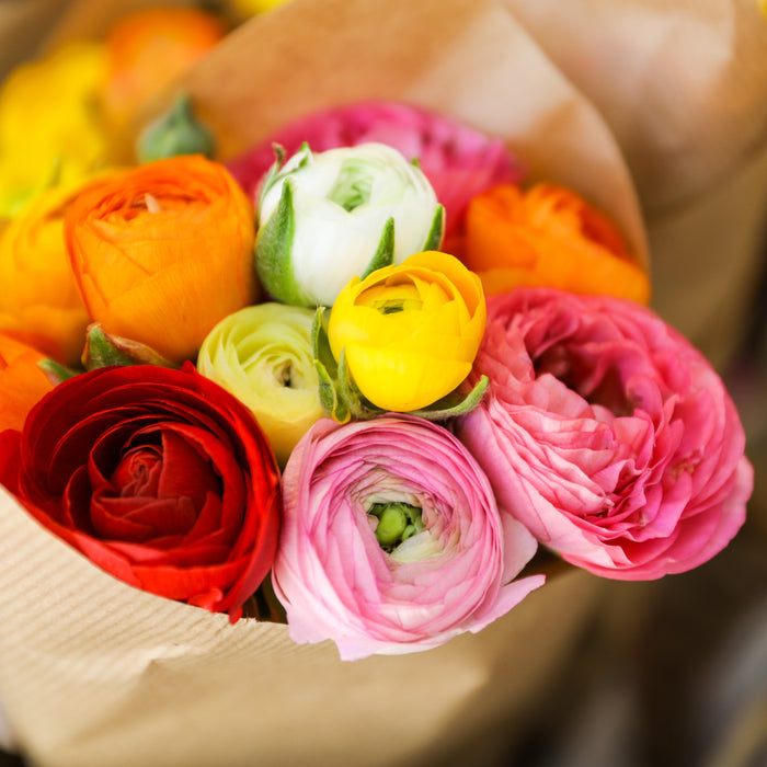 ranunculus flowers in a bouquet