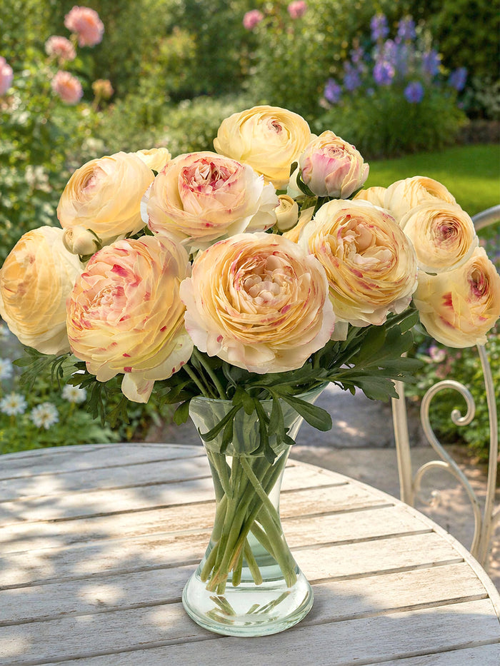 Ranunculus Romance™ Hydra