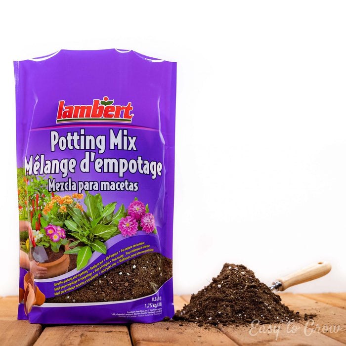 All Purpose Potting Soil from Lambert