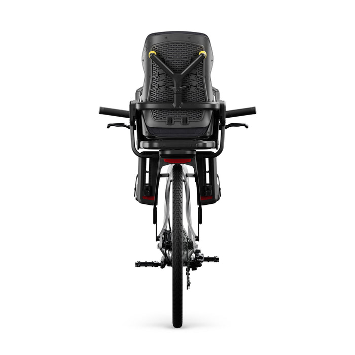 Veer &Bike Bike Mount & Rack for Switchback