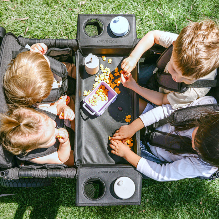 WonderFold Flex Snack Tray